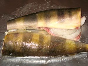 Терпуг в духовке: рецепт сочной и вкусной запеченной рыбки