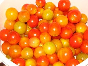 помидоры для маринования