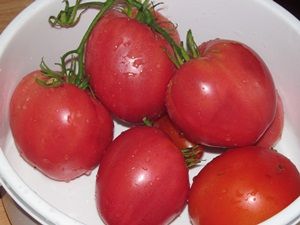 Сибирские помидоры