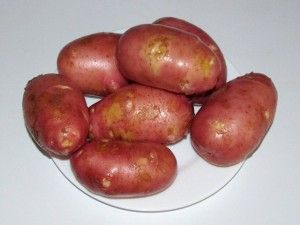 молодая картошка