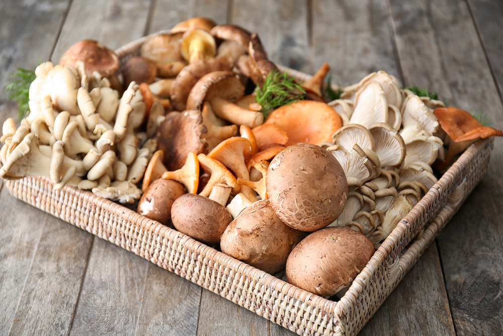 Вкусные рецепты из грибов